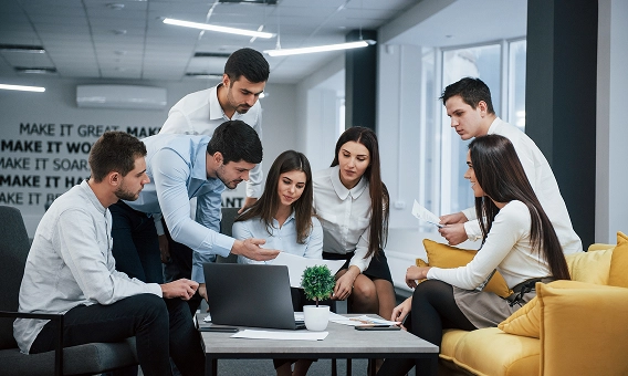Team collaborating in office